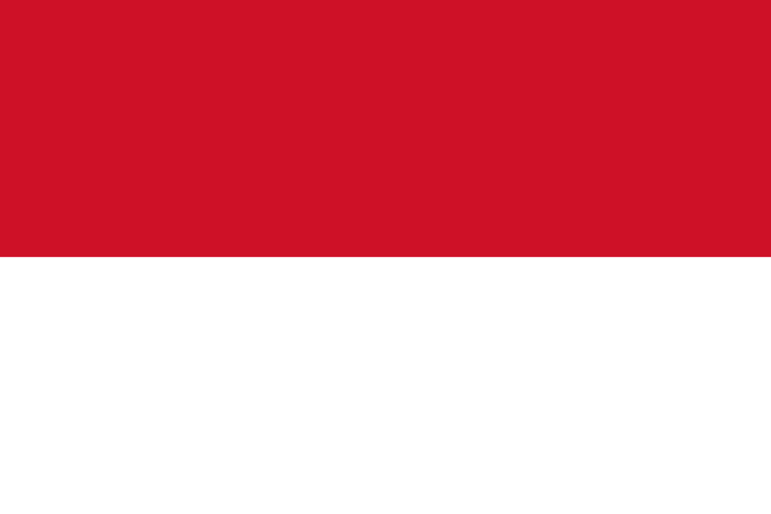 󠁥󠁮󠁧󠁿Bahasa Indonesia